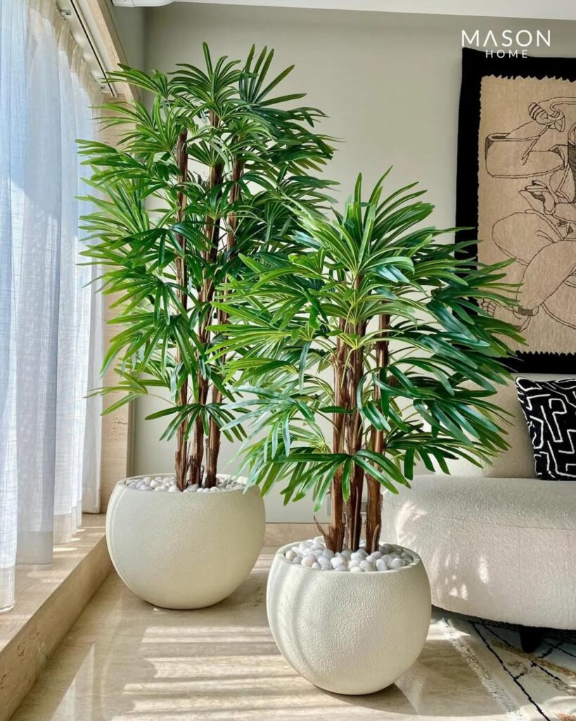 Tall Potted Plants