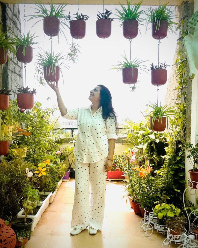 Hanging Plants or Vertical Gardens