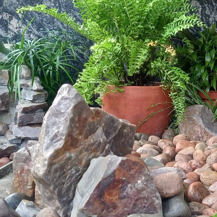 Design a Rock or Zen Garden